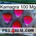 Kamagra 100 Mg 13